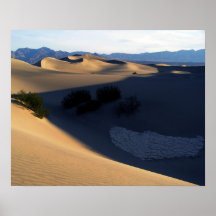 Dunas do Vale da Morte na manhã Pôsteres