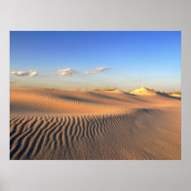 Dunas protegidas em Perdido Fl. chave Poster