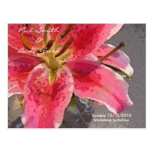 Economias cor-de-rosa & brancas do lírio de dia a  cartao postal