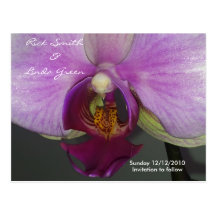 Economias da orquídea do close up a data cartoes postais