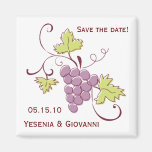 Economias do casamento do vinhedo de Tuscan as dat Ima