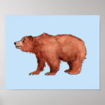 Edmund o urso de urso poster