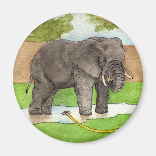 Elefante do quintal imã de geladeira