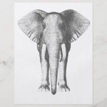Elefante em preto e branco panfleto