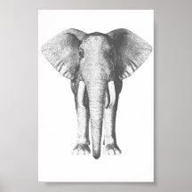 Elefante em preto e branco posteres