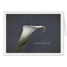 Em Deepest Sympathy Cartão