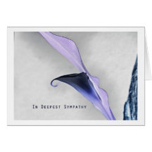 em deepest sympathy cartoes