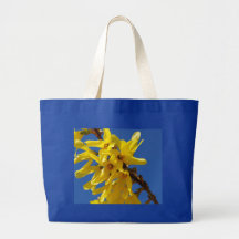 Emissário de primavera bolsa de lona