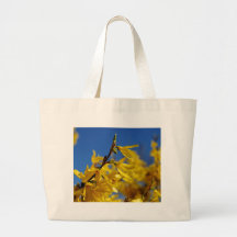 Emissário de primavera bolsas para compras