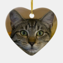 Enfeites de natal: Xmas do gatinho o ø