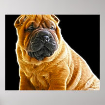 Enrugamentos, o cão de filhote de cachorro chinês  impressão