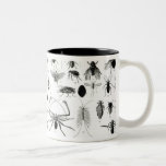 Entomologia, Myriapoda e aracnídeos Caneca