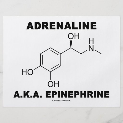 Epinefrina da adrenalina A.K.A. (química) Panfletos Personalizado