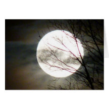 Era uma noite escura e tormentoso… cartao