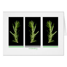 erva - cartão do rosemary