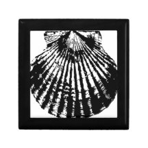 Esboço do Seashell Porta Trecos