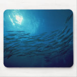 Escola de roda bonita do barracuda mousepad