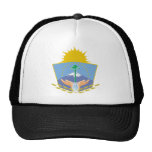 escudo de NQN Bonés