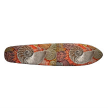 Escudos do nautilus skate boards