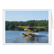 Escuteiro Floatplane na lagoa da pantera, Maine Cartões