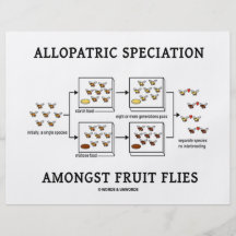Especiação alopátrica entre moscas de fruta panfletos