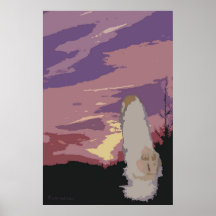 Espera Poster