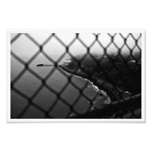 Espreitar completamente fotografias