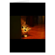 espreitar sneaking do gato do gatinho cute_funny_a cartão