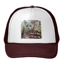 Espreite um boné do gatinho da vaia