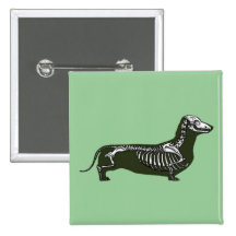 esqueleto do dachshund boton