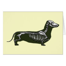 esqueleto do dachshund cartao