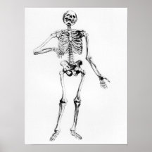 Esqueleto humano poster