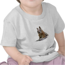 Esquilo Camiseta