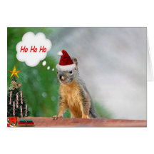 Esquilo do Natal que diz Ho Ho Ho Cartões