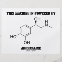 Esta máquina é psta pela adrenalina (a química) panfleto