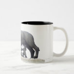 Estátua do lobo de Capitoline (suckling do Ela-lob Caneca