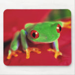 Esteira verde-clara do rato do sapo mousepad