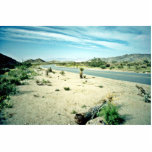Estrada curvada do deserto escultura de fotos