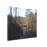 Estrada de floresta impressão de canvas envolvida