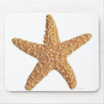 Estrela do mar isolada no branco mouse pad