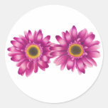 Etiqueta da margarida do Gerbera Adesivos Em Formato Redondos
