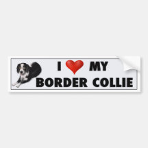 Etiqueta do amor de border collie adesivos