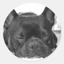 Etiqueta do buldogue francês adesivos