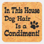 Etiqueta do condimento do cabelo de cão adesivo quadrado