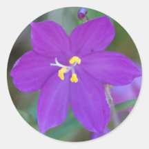 Etiqueta roxa da íris adesivo