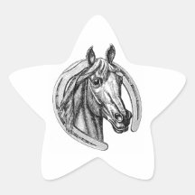 Etiquetas da estrela do cavalo e da ferradura do v adesivos estrelas