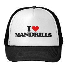 EU AMO MANDRILLS BONE