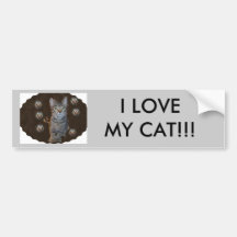 EU AMO MEU CAT!!! ADESIVO