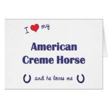 Eu amo meu cavalo americano do creme (o cavalo mas cartao