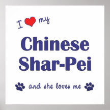 Eu amo meu Shar-Pei chinês (o cão fêmea) Pôsteres